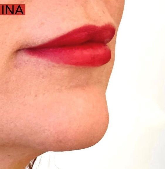 LIP PENCIL INA